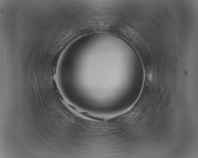 X0000066101252200603101132