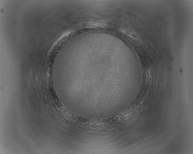 X0000066101254200603101132