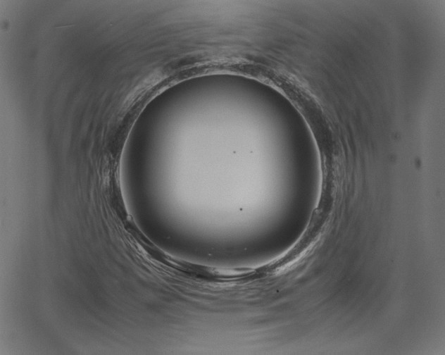 X0000066101257200603101132