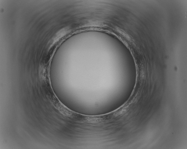 X0000066101258200603101132