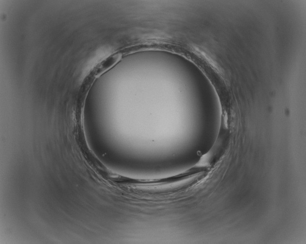 X0000066101261200603101132