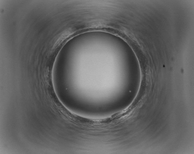 X0000066101265200603101132