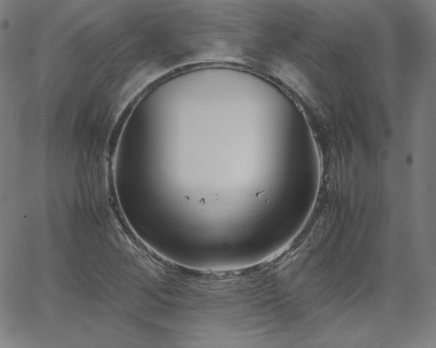 X0000066101268200603101132
