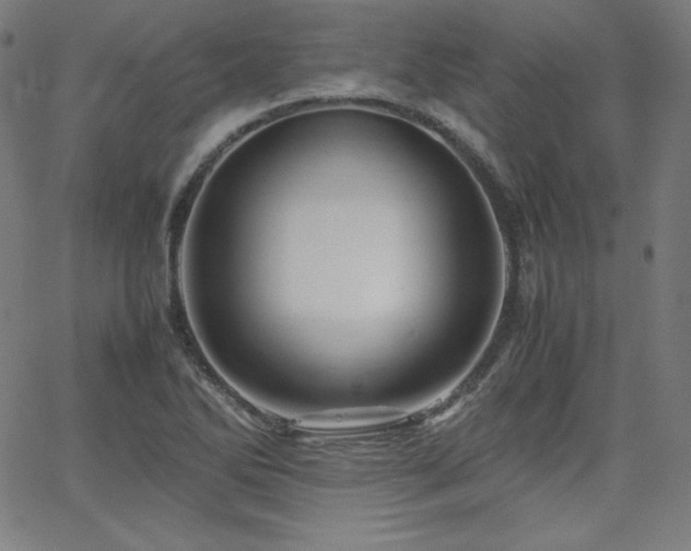 X0000066101270200603101132