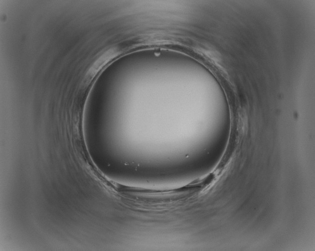 X0000066101273200603101132