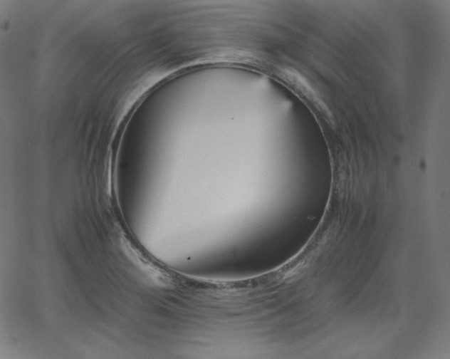 X0000066101276200603101132