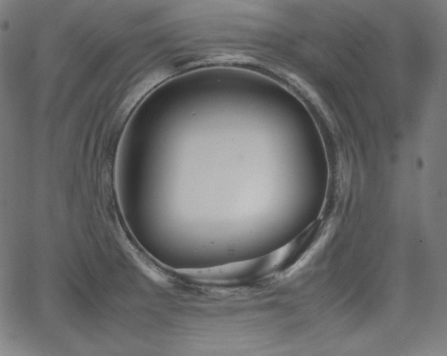 X0000066101281200603101132