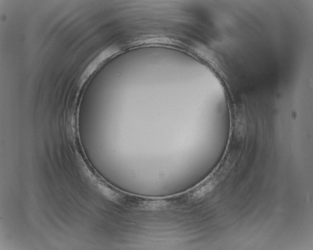 X0000066101282200603101132