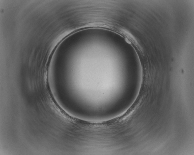X0000066101284200603101132