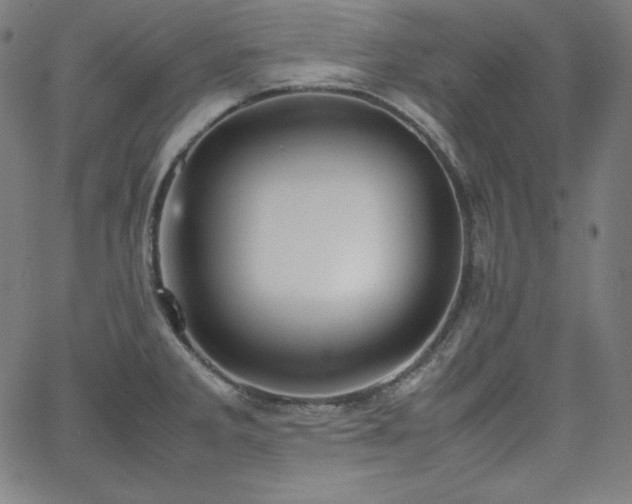 X0000066101285200603101132