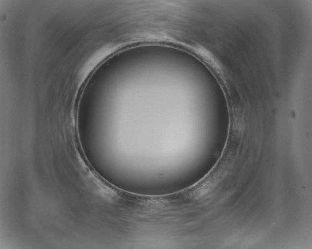 X0000066101287200603101132