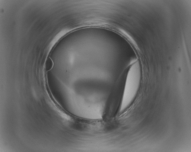 X0000066101291200603101132