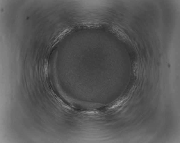 X0000066101298200603101131