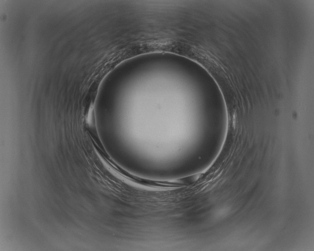 X0000066101299200603101131
