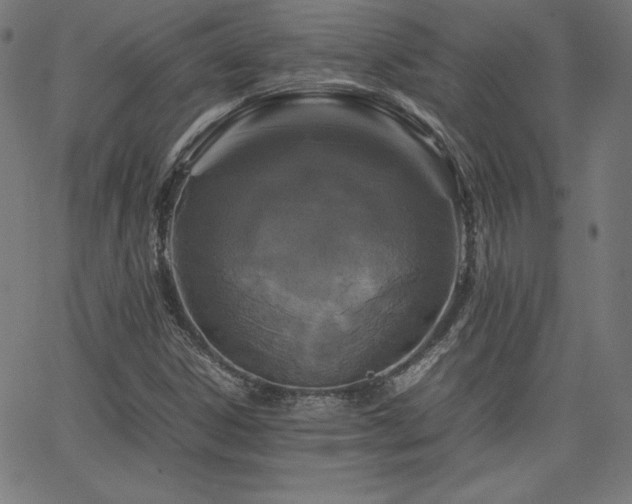 X0000066101306200603101131