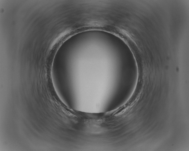 X0000066101307200603101131