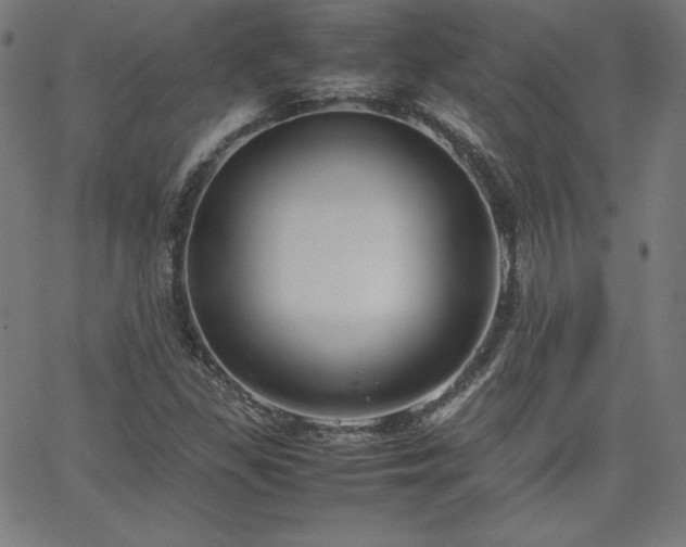 X0000066101309200603101131