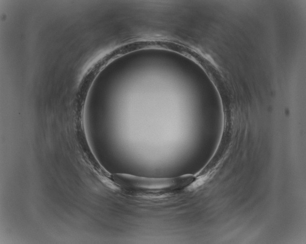 X0000066101311200603101131