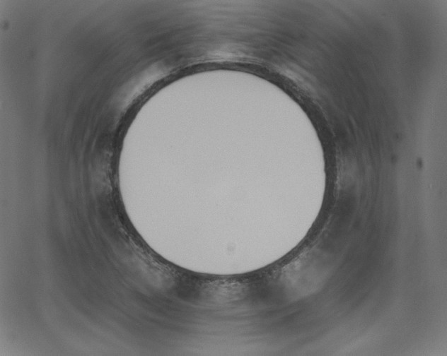 X0000066101314200603101131