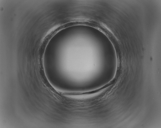 X0000066101315200603101131