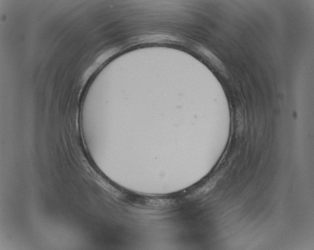 X0000066101322200603101131