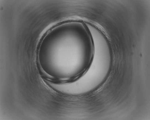 X0000066101326200603101131