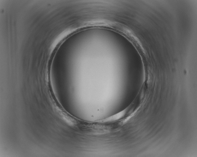 X0000066101328200603101131