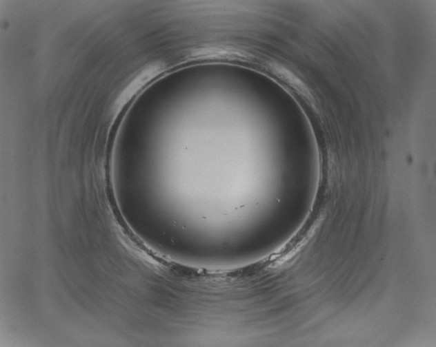 X0000066101330200603101131