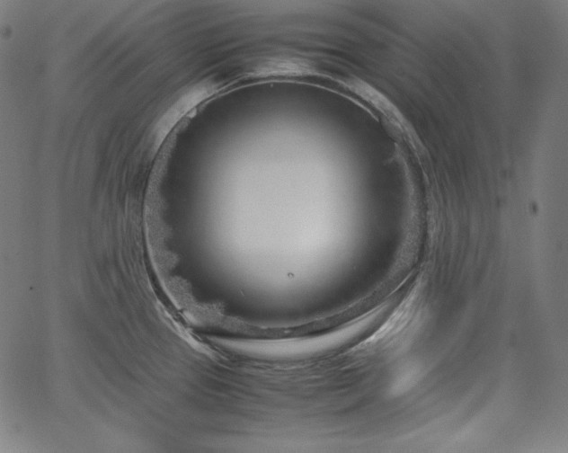 X0000066101337200603101131