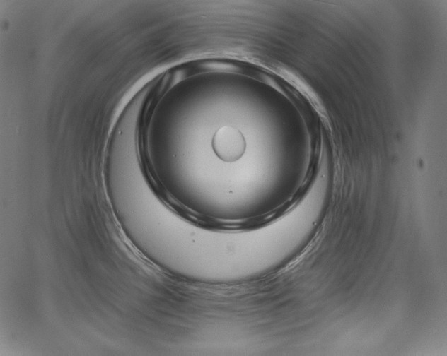 X0000066101340200603101131