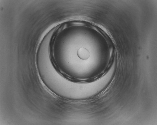 X0000066101342200603101132