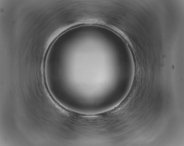 X0000066101343200603101132