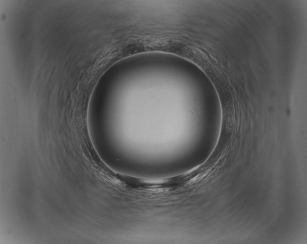 X0000066101345200603101131