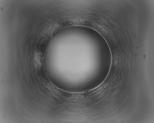 X0000066101346200603101131