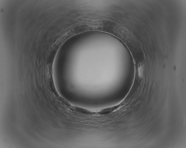 X0000066101347200603101131