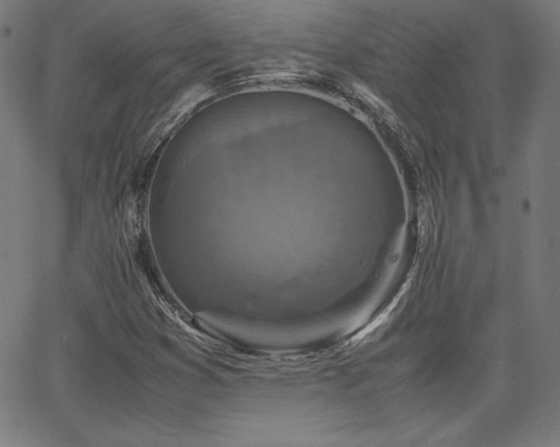 X0000066101353200603101131