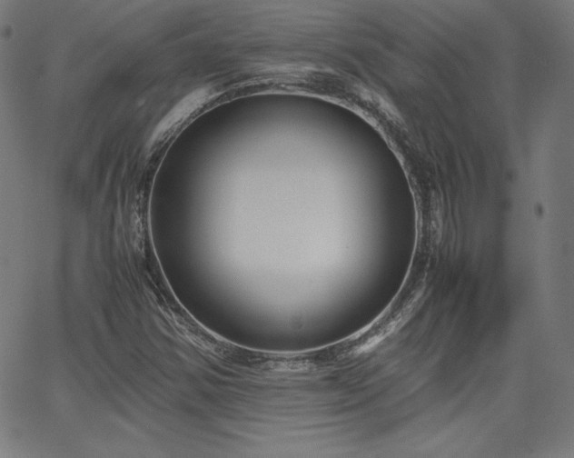 X0000066101354200603101131