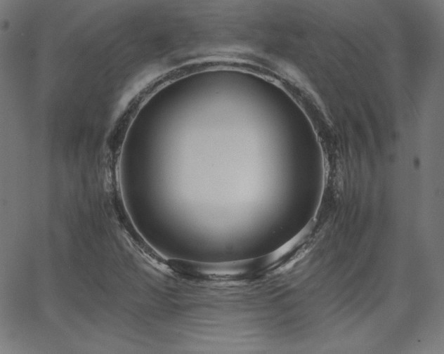 X0000066101360200603101131