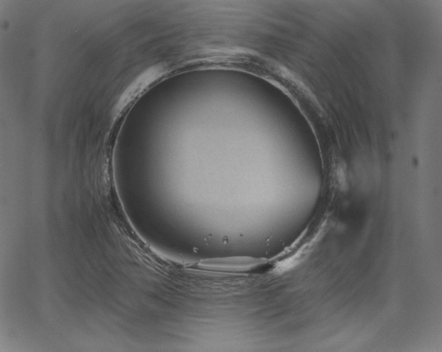 X0000066101362200603101131