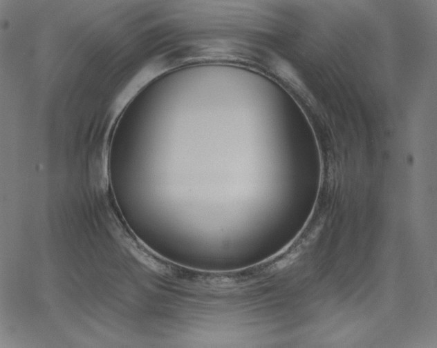 X0000066101370200603101130