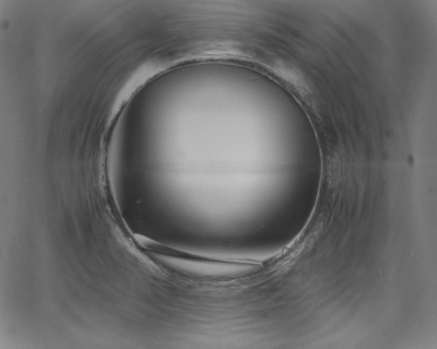 X0000066101374200603101130