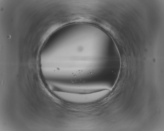 X0000066101375200603101130