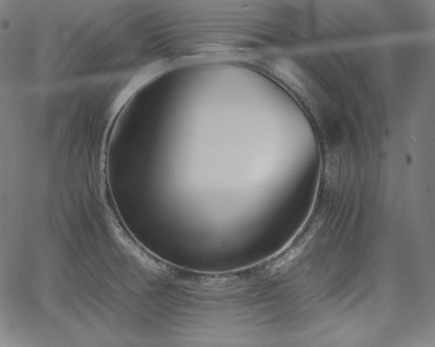 X0000066101378200603101130