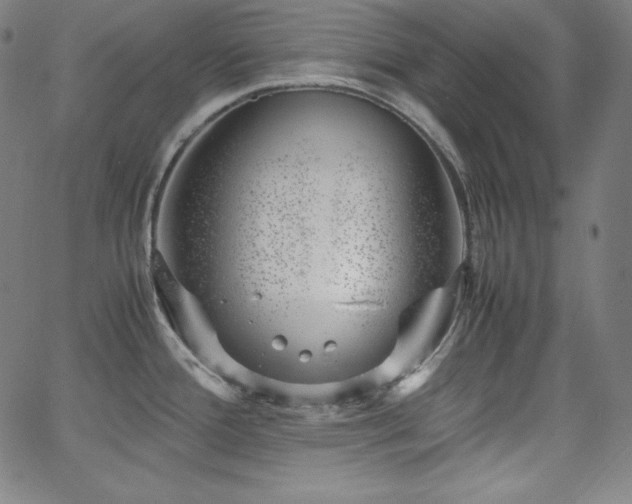 X0000066101388200603101130