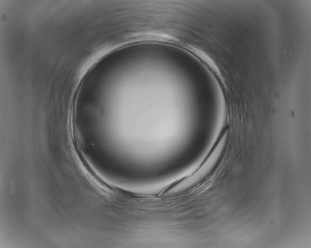 X0000066101391200603101130