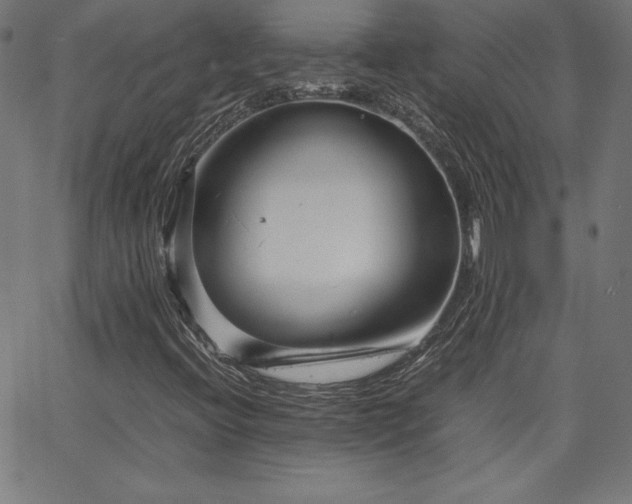 X0000066101396200603101129