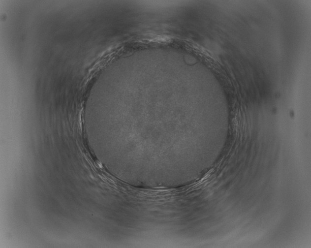 X0000066101397200603101129