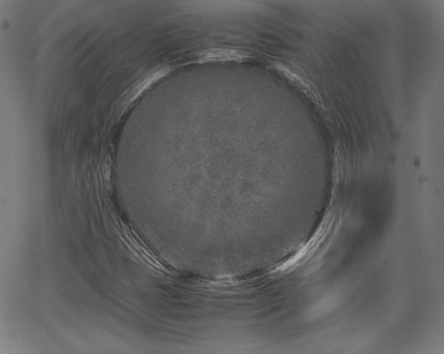 X0000066101401200603101129