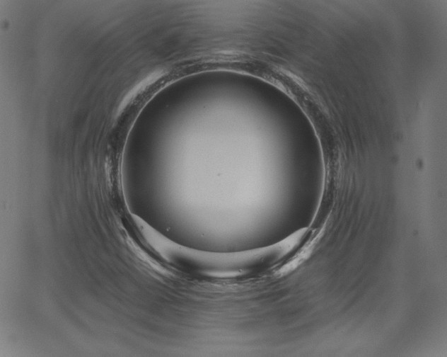 X0000066101402200603101129