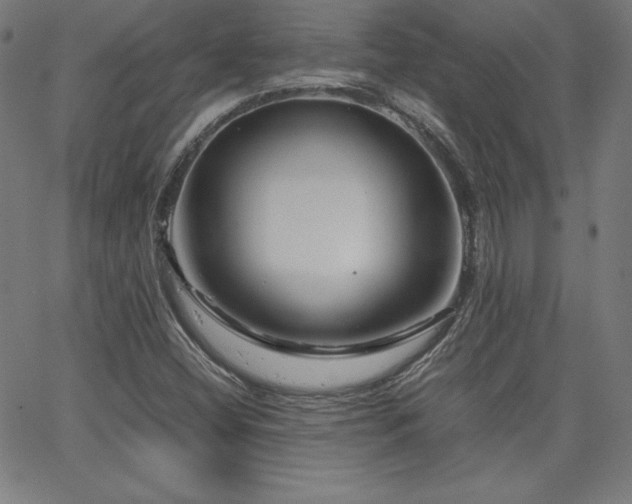 X0000066101404200603101129